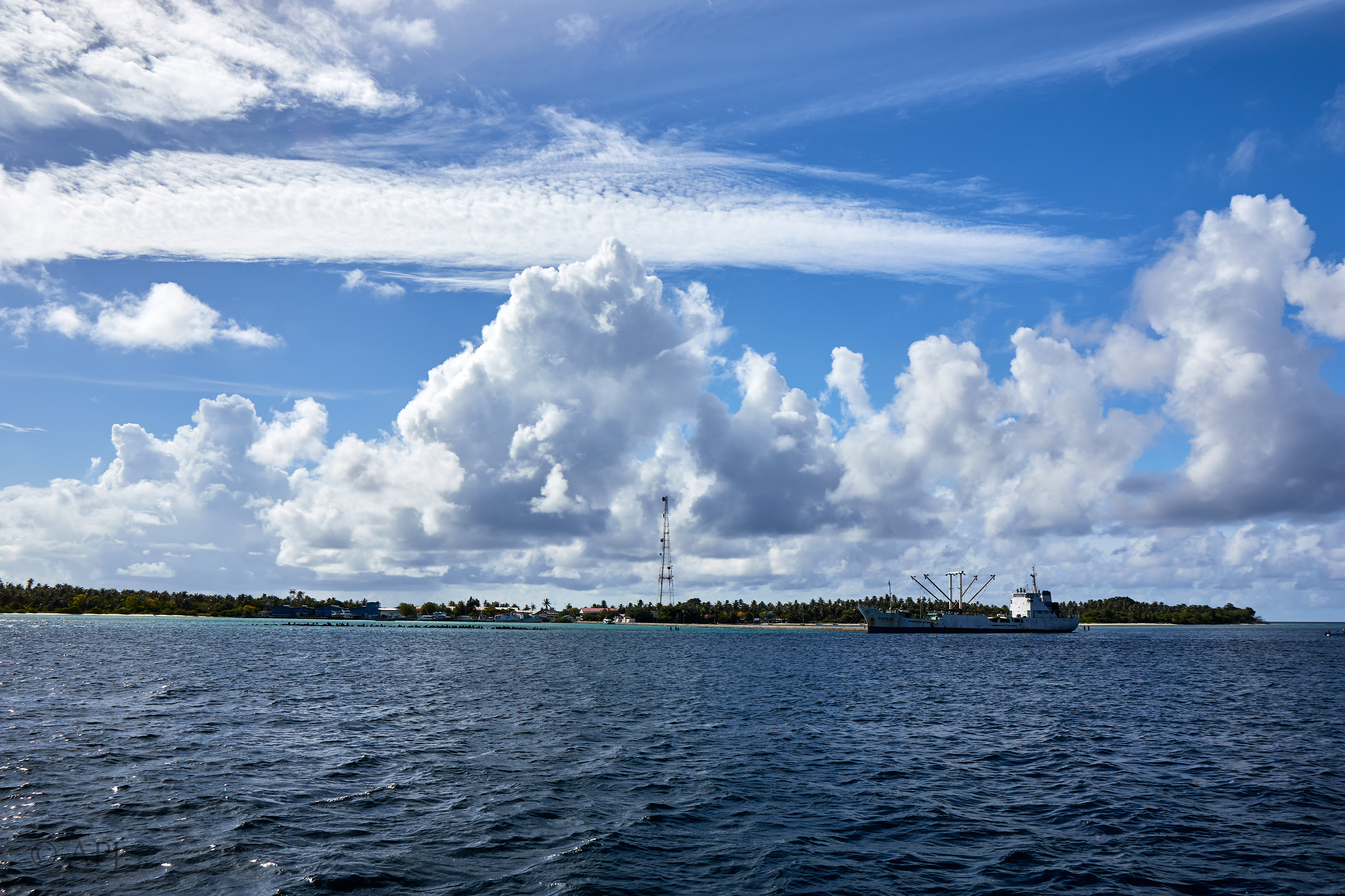 003726 17 08 17  Canon EOS 7D Mark II   Malediven2017